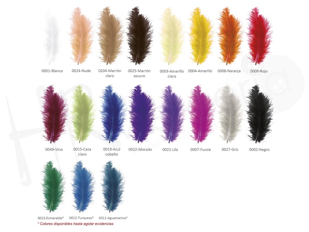 Pluma short marabu Pack 100 uds