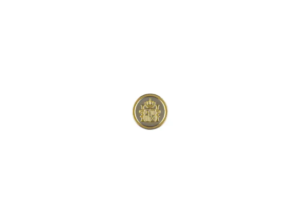 Boton 310191 linea 24