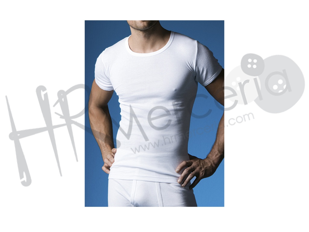 Camiseta Cro. M/C Abanderado 306