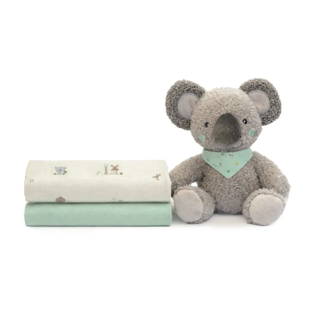 Set peluche Koala + 2 gasas