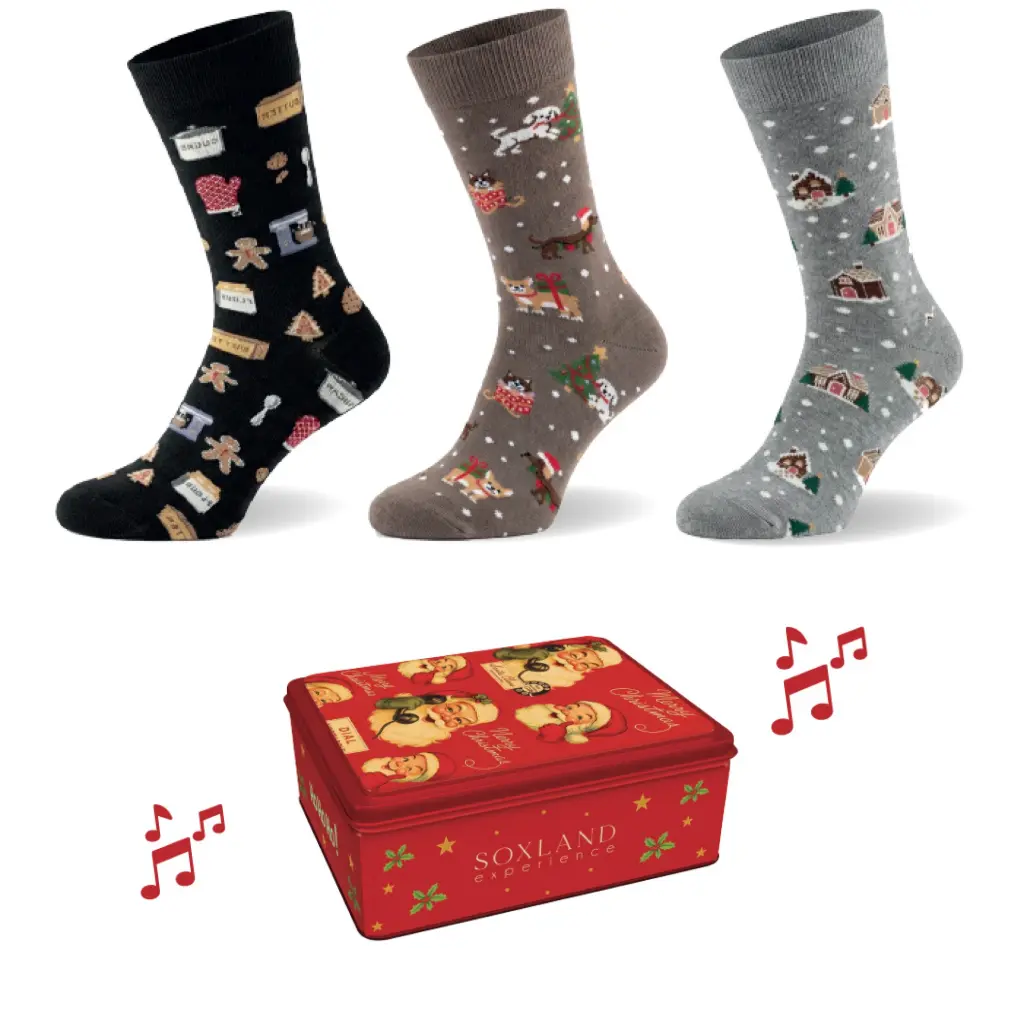 Estuche musical Sra 0315263 Pack-3 Soxland CI26