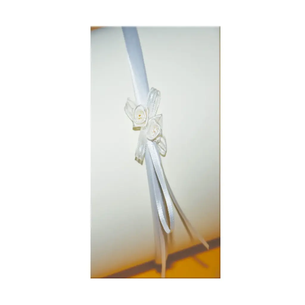 Diadema lazo flor 1600 pack 2 ud.