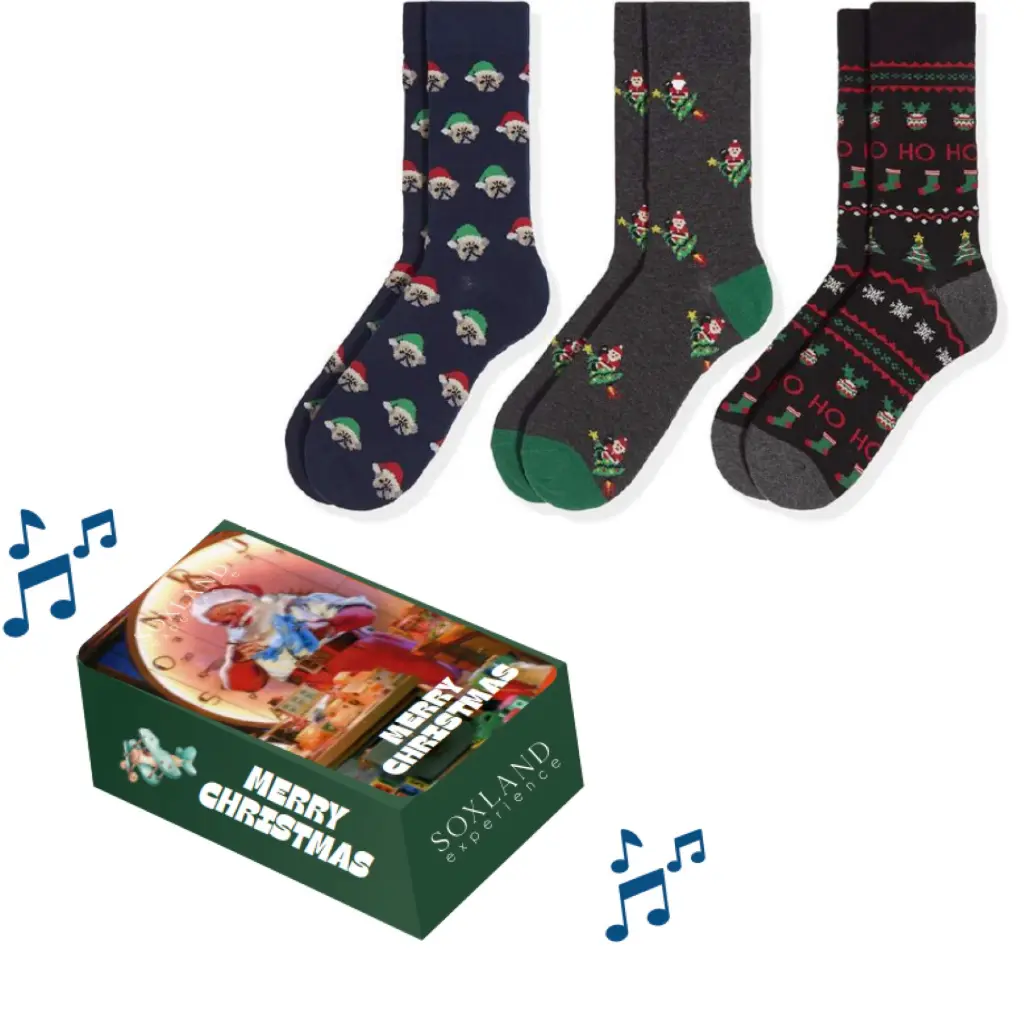 Estuche Calcetin musical 0313262 Pack 3 Soxland CI24