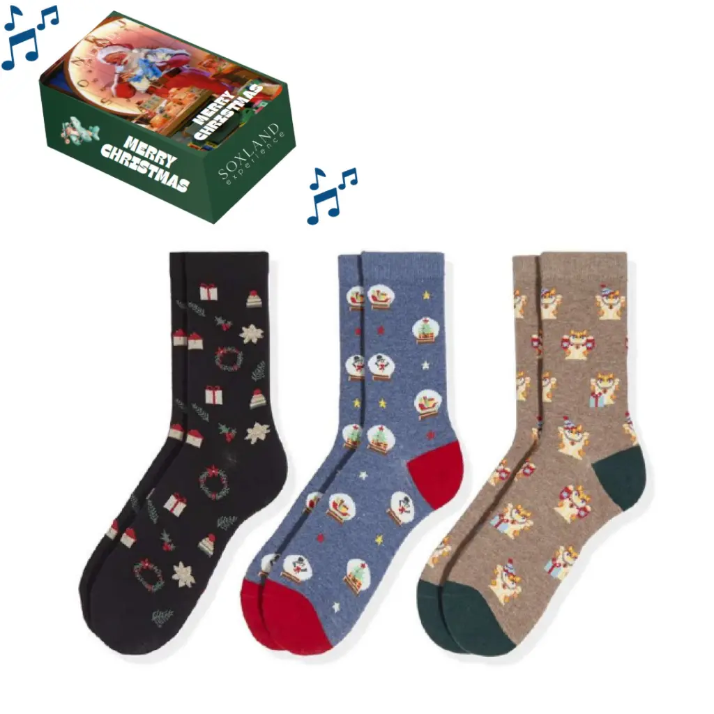 Estuche Calcetin musical 0313263 Pack 3 Soxland CI24
