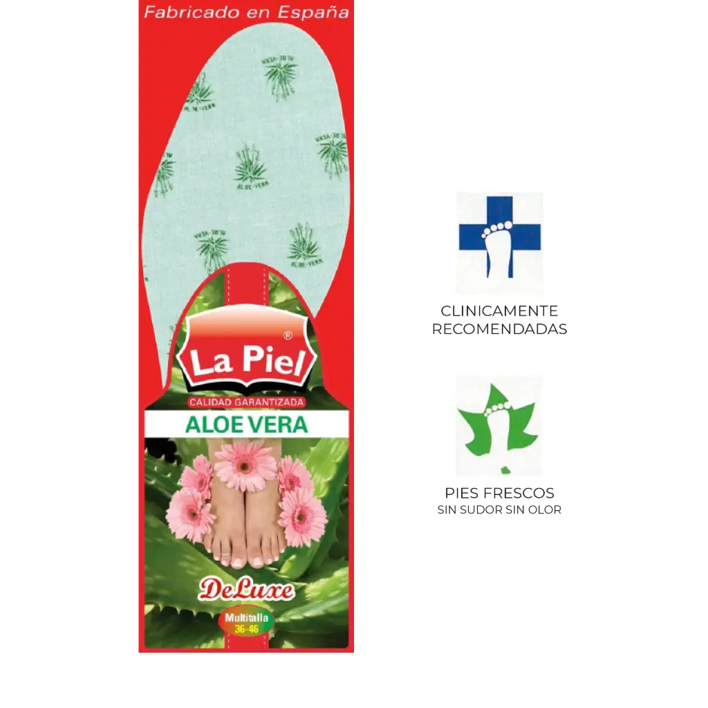 Plantilla Aloe-Vera La Piel