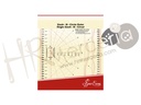 Plantilla para curvas NL 4195