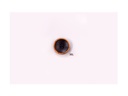 Boton madera olivo HR15084 talla 36