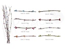Alambre con pistilo para diadema Pack 12 ud