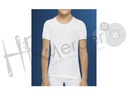 Camiseta Abanderado niño M/C 302