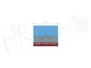 Etiqueta banda fallera 65x62mm 723 Pack 5 ud.