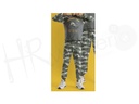 Pijama niño 56633 Admas