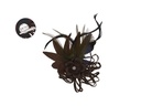 Aplicacion flor plumas 124724