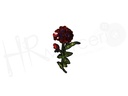 Aplicacion flor 14005
