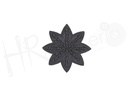 Aplicacion fantasia estrella perlas 178016