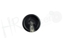 Boton 230128 linea 32
