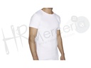 Camiseta Cro M/C afelpada 20105 Ysabel Mora