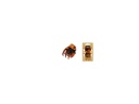 Pinza clasica pulpo mediana 3.5 cm. Pack 6 blister 2 ud