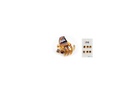 Pinza pulpo 1 cm. Concha. Pack 6 blister 6 ud