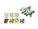 Pomo flor 1105 pack 12 pomos