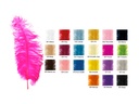 Pluma avestruz fair spads 1 ud.