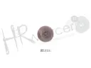 Boton 300446 linea 36