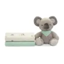 Set peluche Koala + 2 gasas